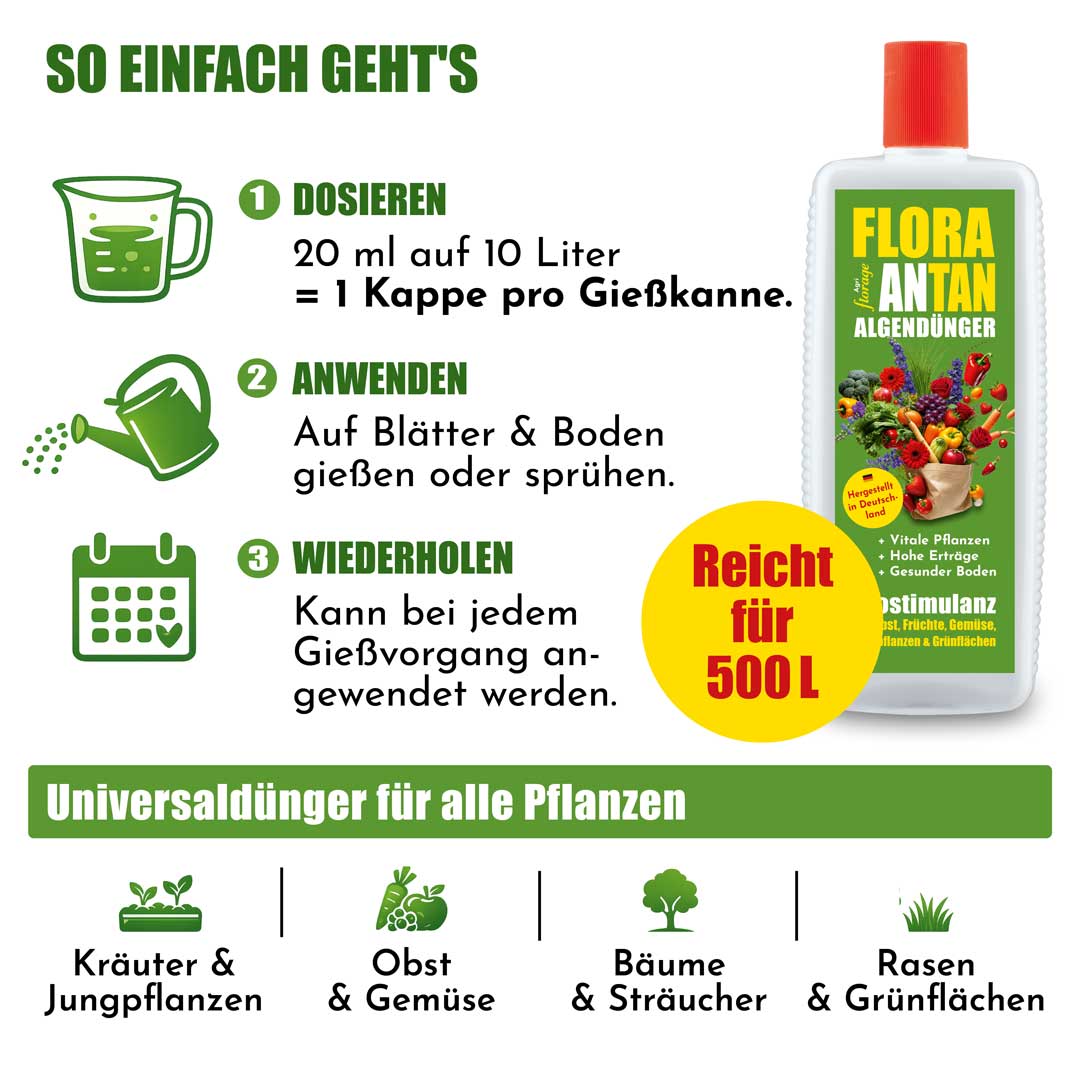 Anwendung Flora ANtan Algendünger