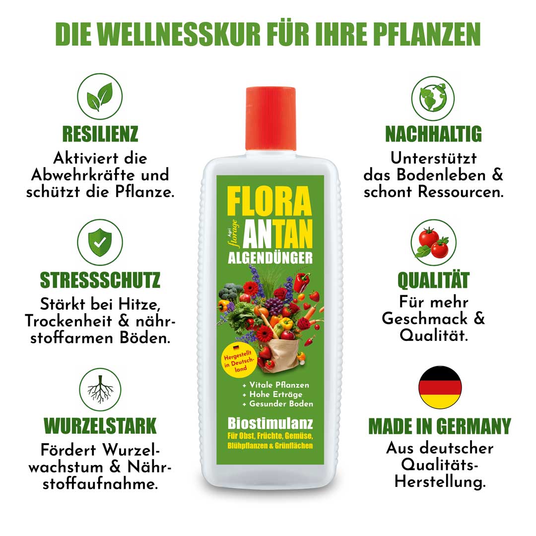 Vorteile Flora ANtan Algendünger